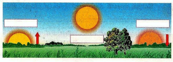 Наблюдение за движением солнца по небосводу