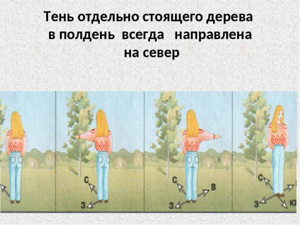 Тень в полдень направлена на