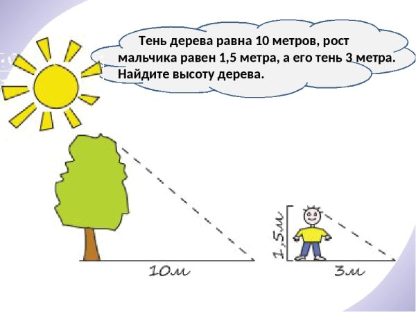 Тенью которое отбрасывает дерево