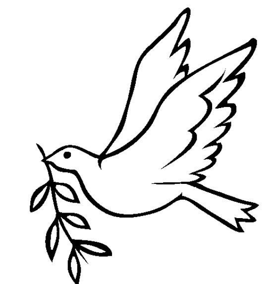 Голубь раскраска для детей