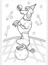 Цирковая собачка раскраска