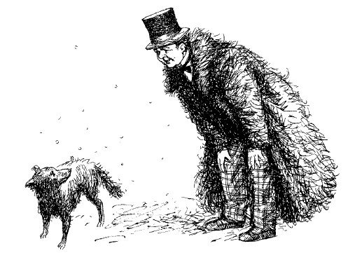 Иллюстрации к каштанке Чехова