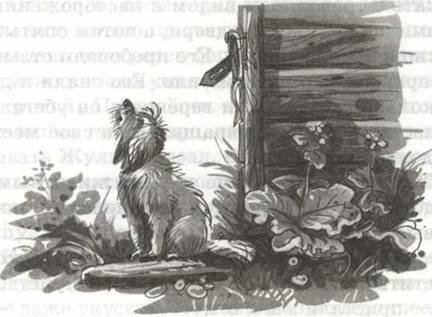 Куприн Барбос и Жулька иллюстрации