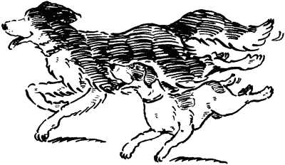 Иллюстрации к рассказу Куприна Барбос и Жулька