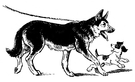 Паустовский Константин Георгиевич дружище Тобик