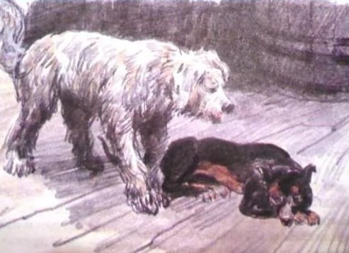 Куприн Барбос