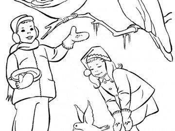 Птицы раскраска для детей