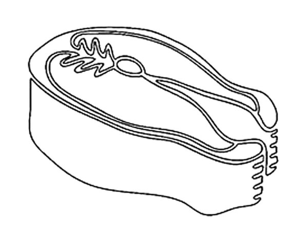 Мясо раскраска для детей