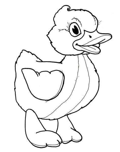 Раскраска уточка
