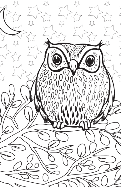 Сова раскраска
