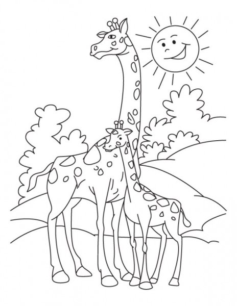 Жираф. Раскраска