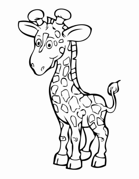 Раскраски жирафа для детей