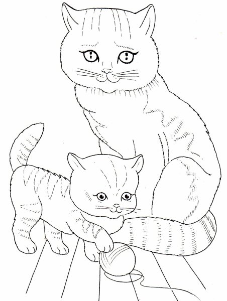 Котенок. Раскраска