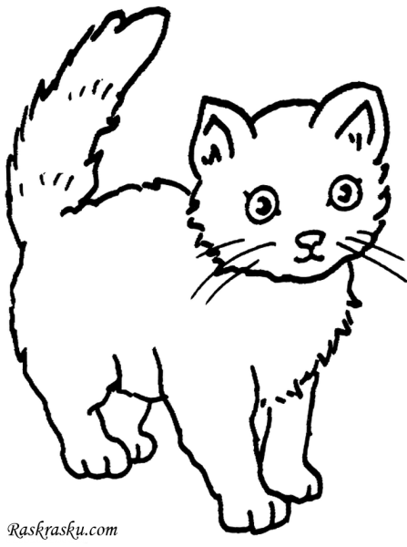 Кот раскраска для детей