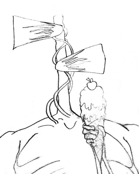 Сиреноголовий раскраска