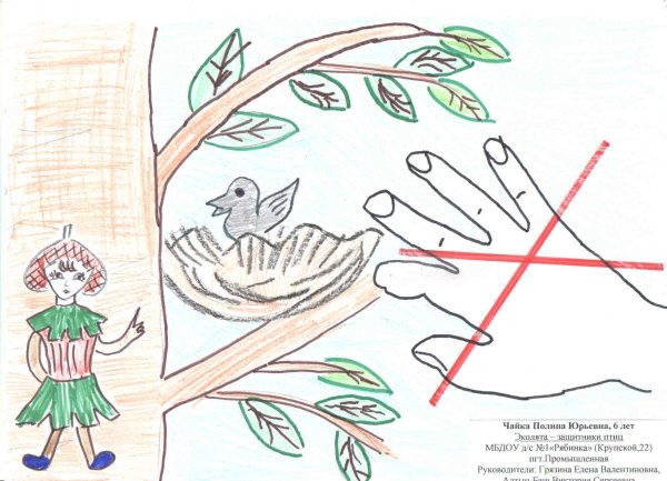 Эколята раскраски для детей защитники природы