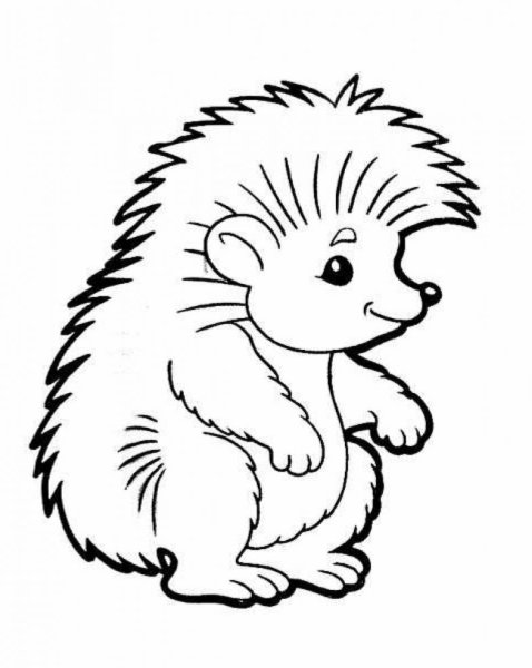 Раскраска Ёжик