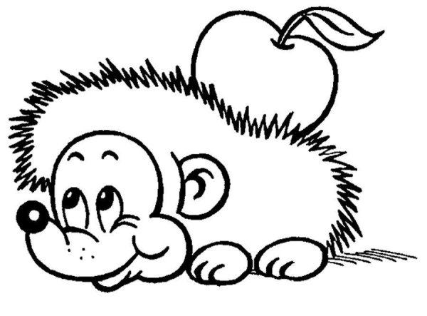 Ушастый ёж раскраска