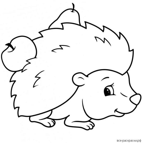 Раскраска Ёжик
