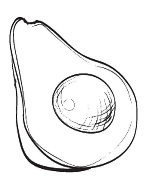 Раскраски милые авокадо