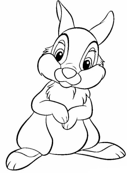 Заяц рисунок раскраска