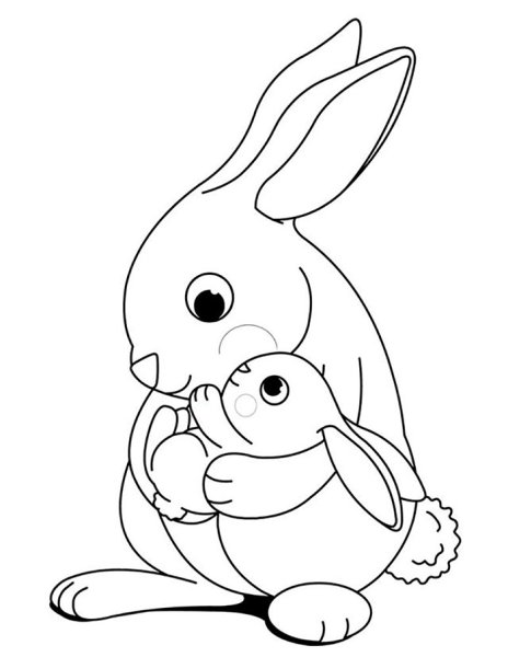 Заяц раскраска