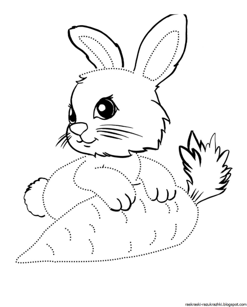 Зайка раскраска для малышей