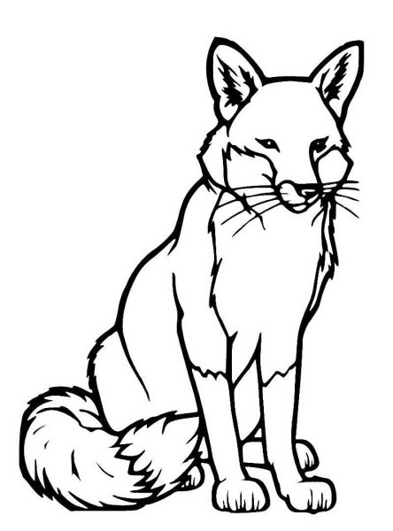 Раскраска "Дикие животные"