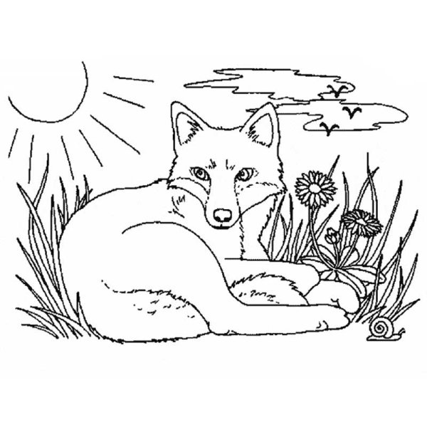 Лисичкин хлеб Михаил пришвин раскраска