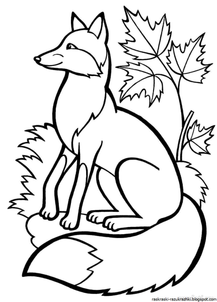 Раскраска Лисичка