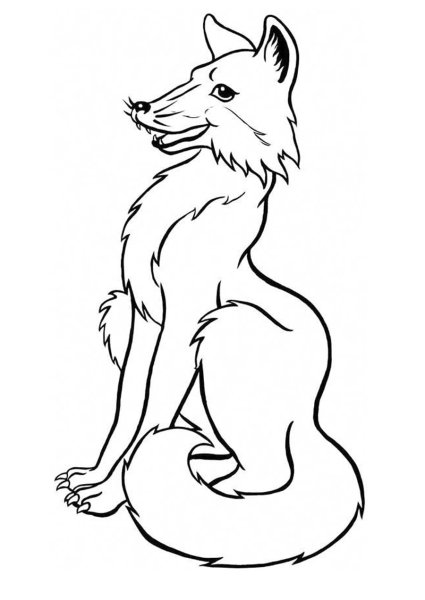 Раскраска лиса