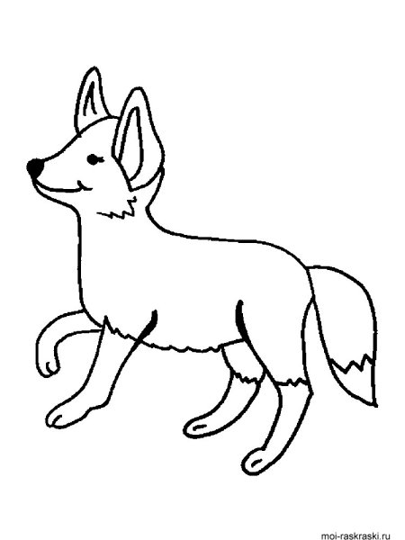 Раскраска лиса