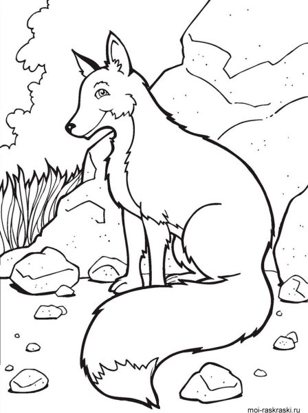 Раскраска лисы