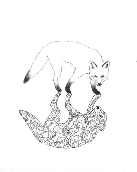 Контур лисы