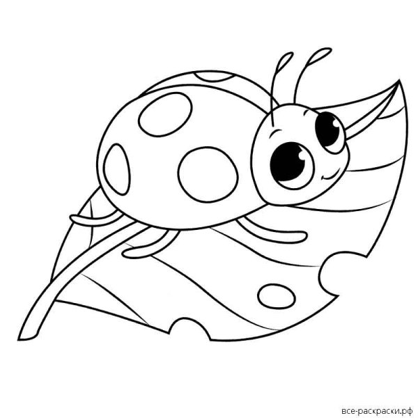 Божья коровка раскраска