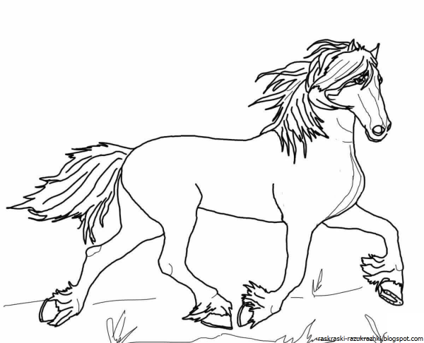 Рисунок лошади для раскрашивания