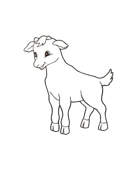 Козлёнок раскраска для детей