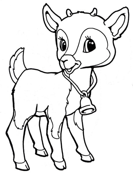 Козлёнок раскраска для детей