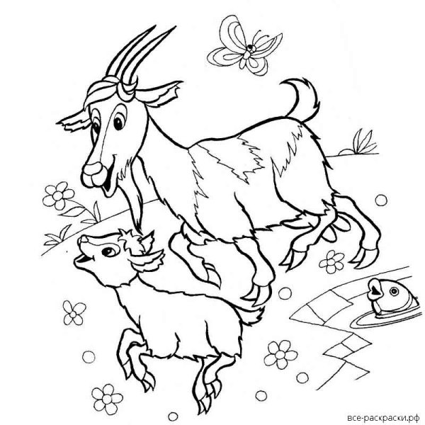 Домашние животные раскраска для детей