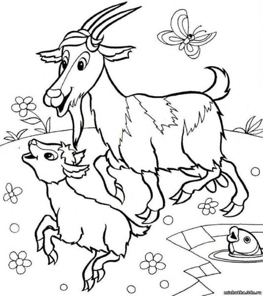 Коза раскраска для детей