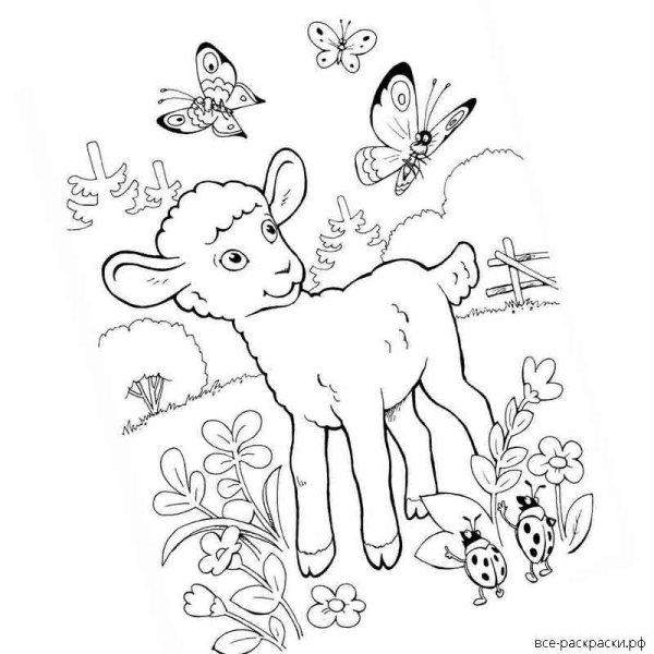 Козленок раскраска