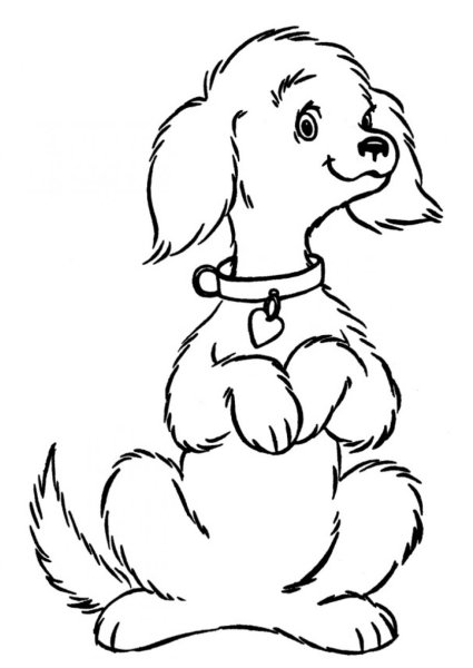 Раскраски Шарлотта Земляничка питомцы