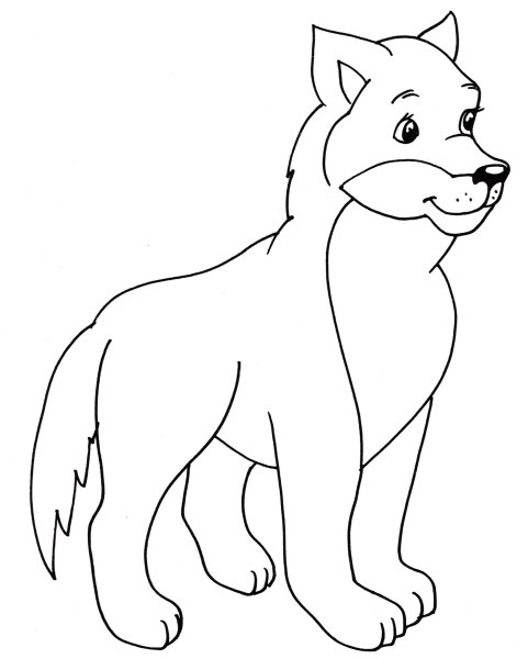 Волк рисунок