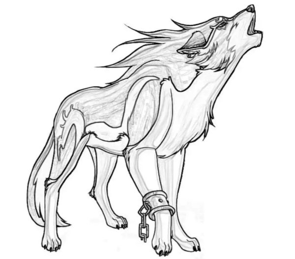 Раскраска волк