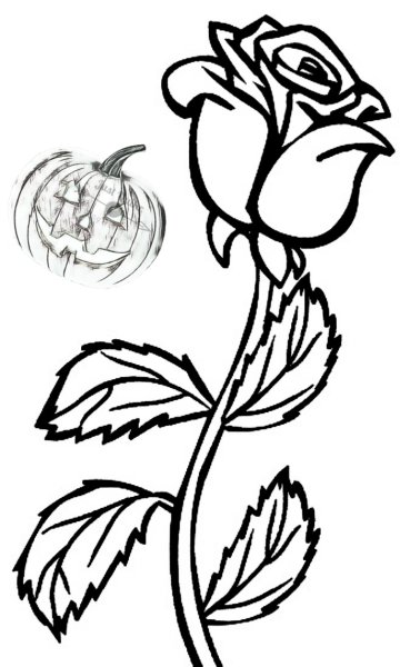 Роза раскраска
