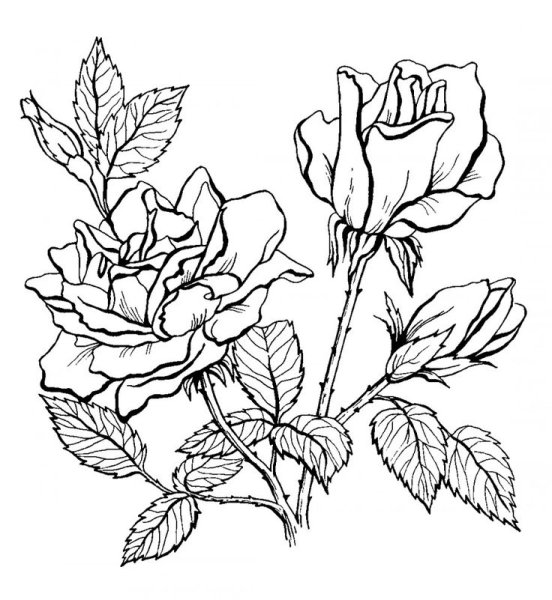 Раскраска букет цветов