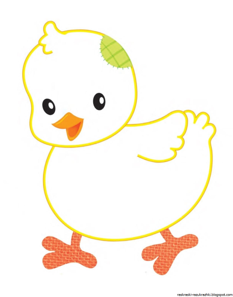 Цыпленок картинка раскраска