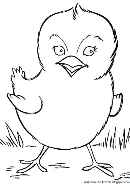 Цыпленок раскраска для детей