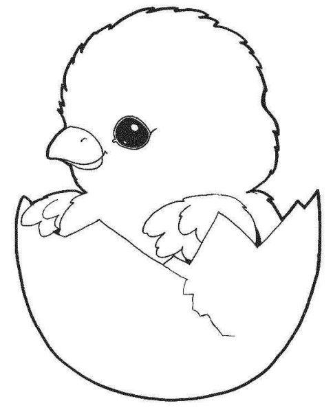 Цыпленок. Раскраски