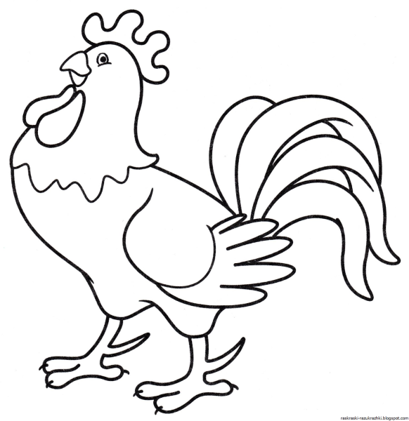 Петух раскраска для детей